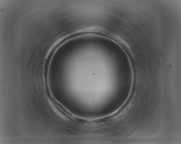 X0000074240792200608251137