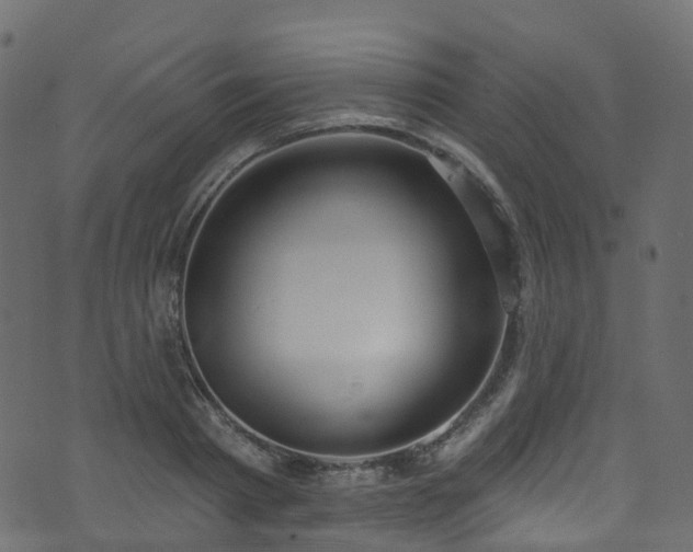 X0000074240793200608251137