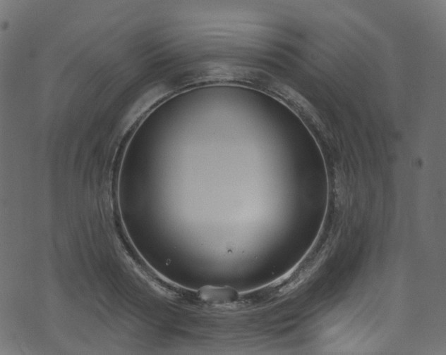 X0000074240794200608251137