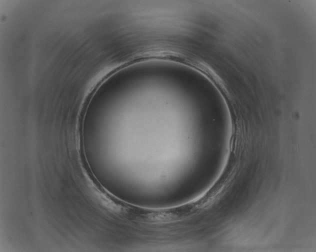 X0000074240795200608251137