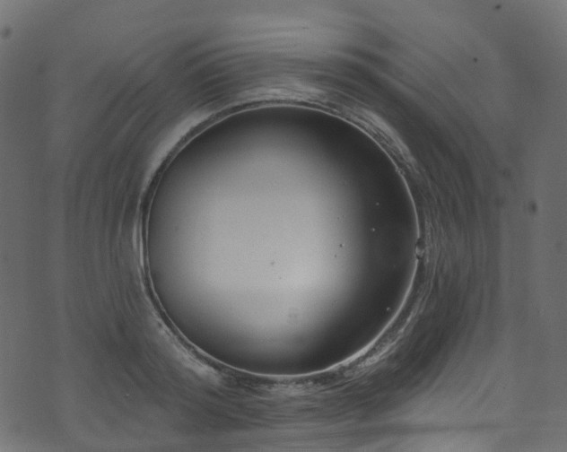 X0000074240796200608251137