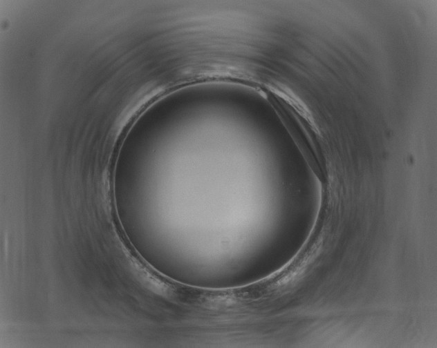 X0000074240798200608251137