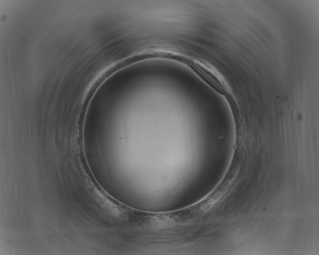 X0000074240799200608251137