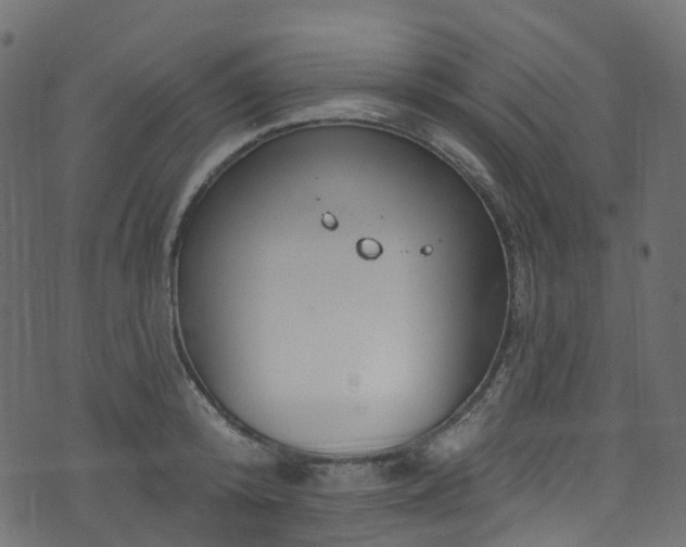 X0000074240800200608251137