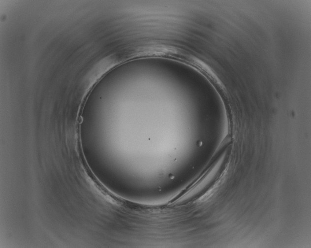 X0000074240802200608251137