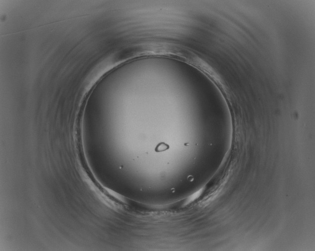 X0000074240803200608251137