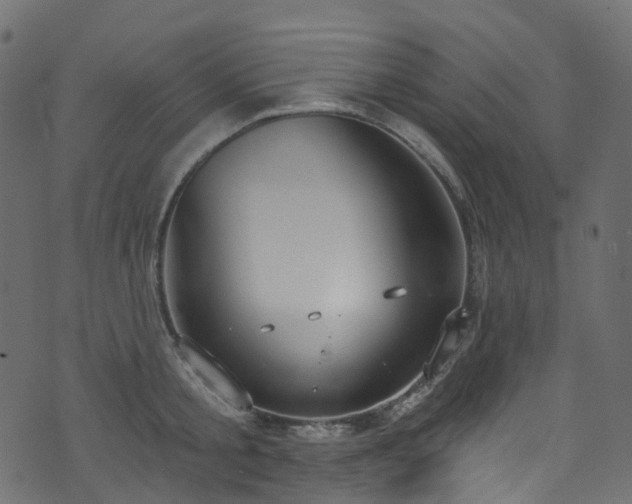 X0000074240805200608251137