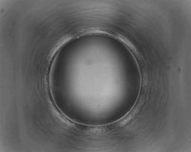 X0000074240806200608251137