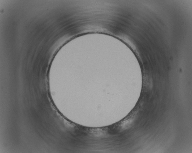 X0000074240807200608251137