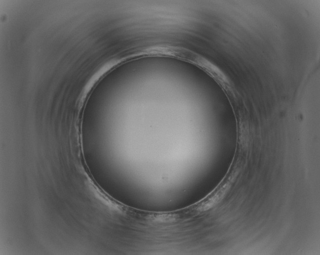 X0000074240808200608251137