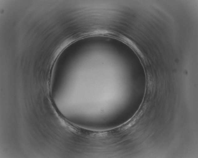 X0000074240810200608251137