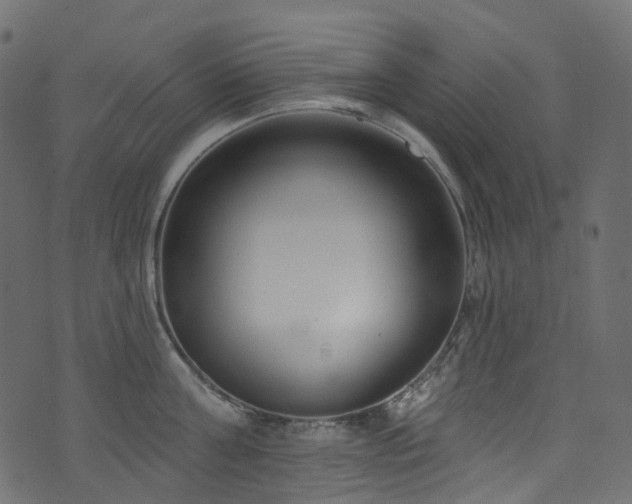 X0000074240811200608251137