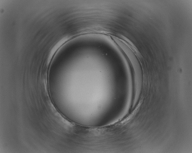 X0000074240812200608251137