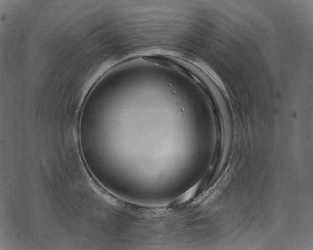 X0000074240813200608251137