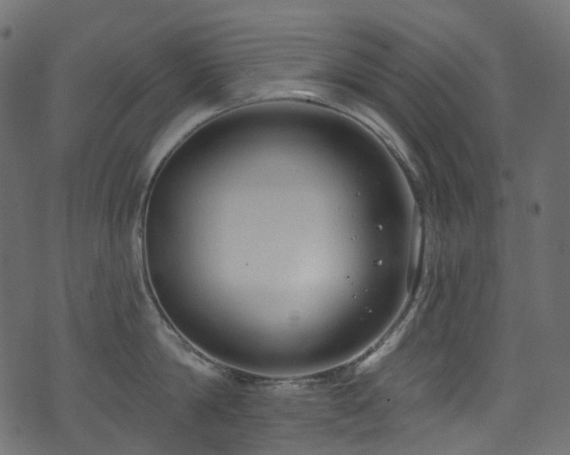 X0000074240814200608251137