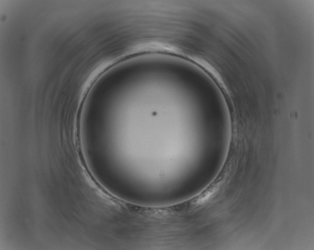 X0000074240815200608251137