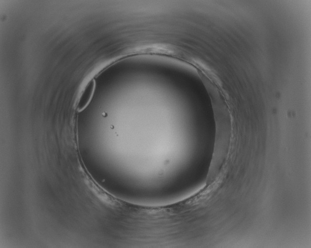 X0000074240816200608251137