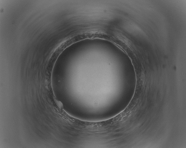 X0000074240823200608251136