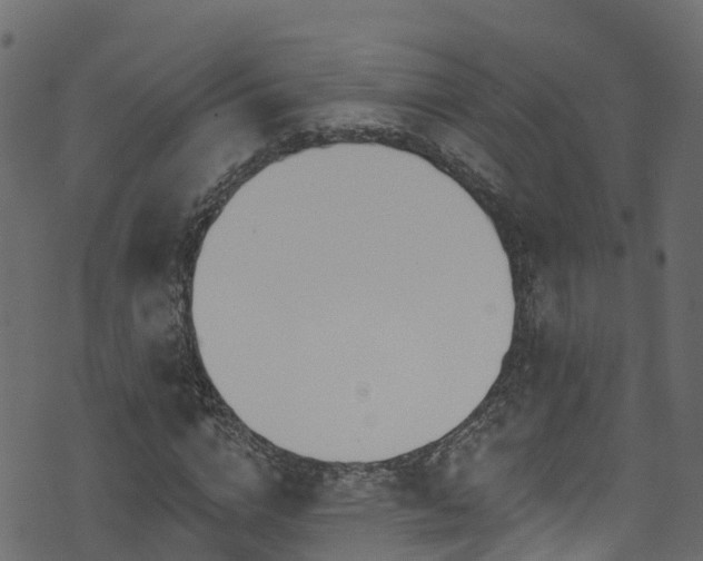 X0000074240824200608251136