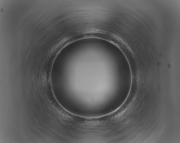 X0000074240825200608251136
