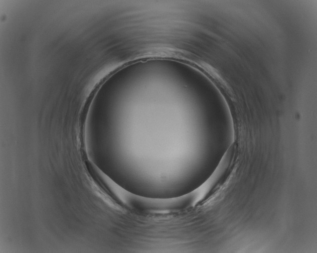 X0000074240846200608251136
