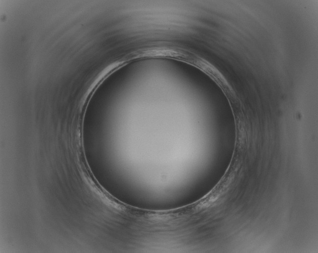 X0000074240852200608251137