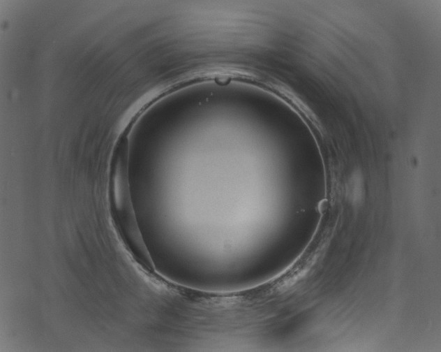 X0000074240853200608251137