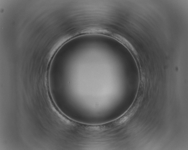 X0000074240855200608251137