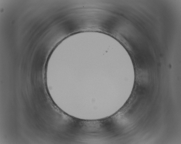 X0000074240856200608251137