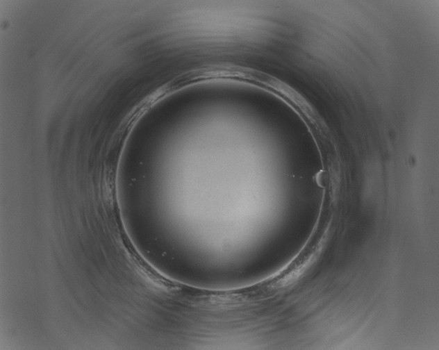 X0000074240857200608251137