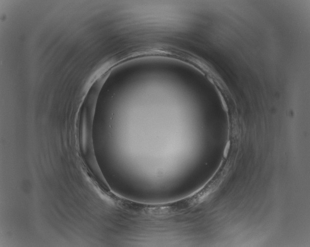 X0000074240858200608251137