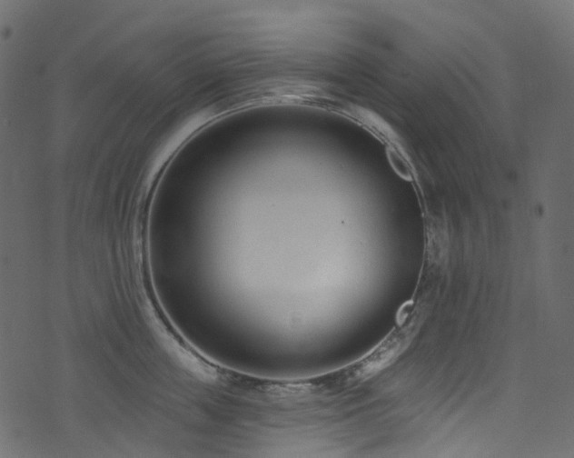 X0000074240859200608251137