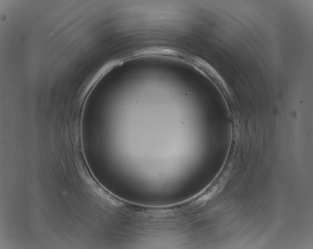 X0000074240860200608251137