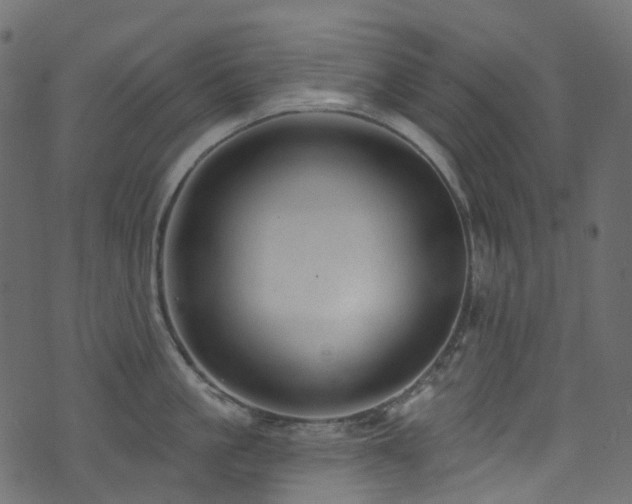 X0000074240861200608251137