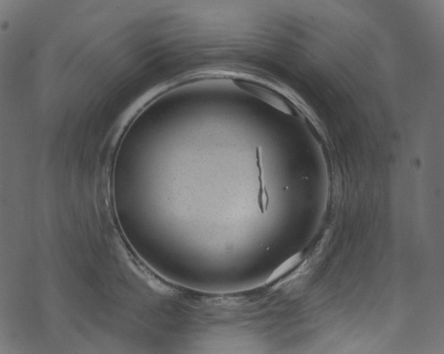 X0000074240862200608251137