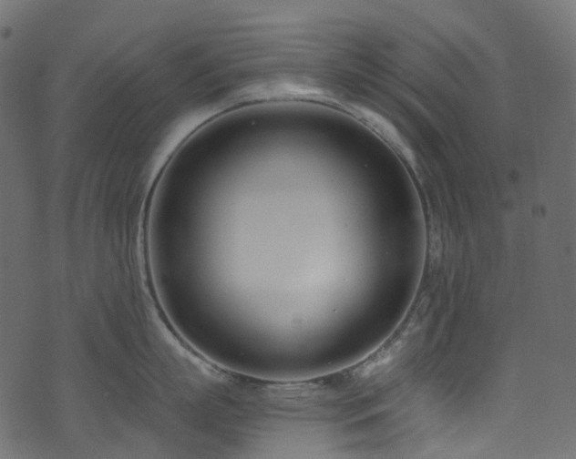 X0000074240863200608251137