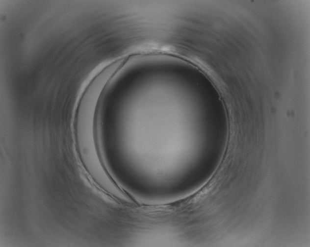 X0000074240864200608251137