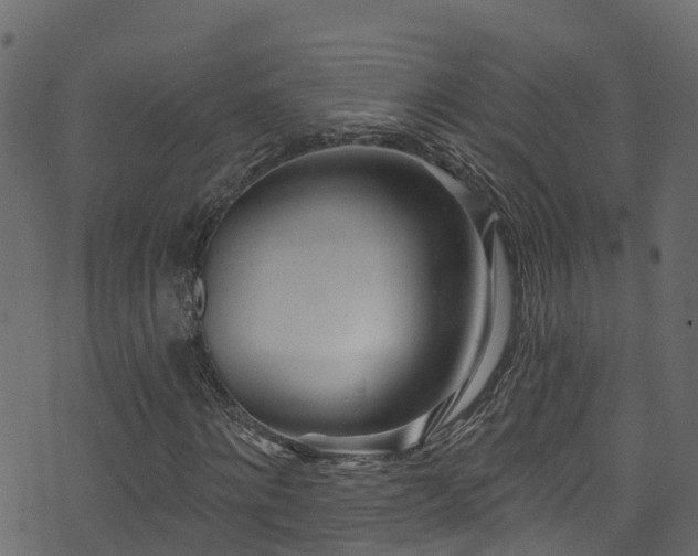 X0000074240868200608251136