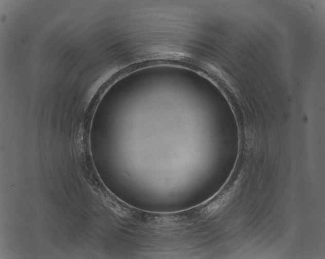 X0000074240875200608251136