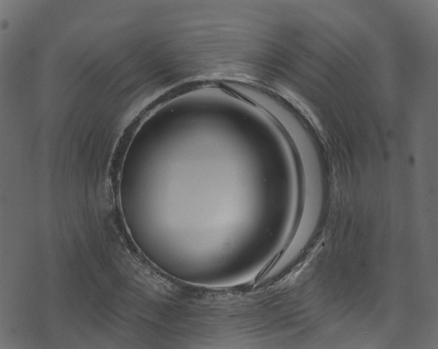 X0000074240876200608251136