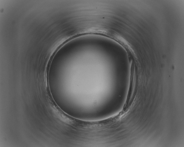 X0000074240892200608251135