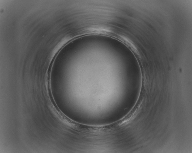 X0000074240899200608251135
