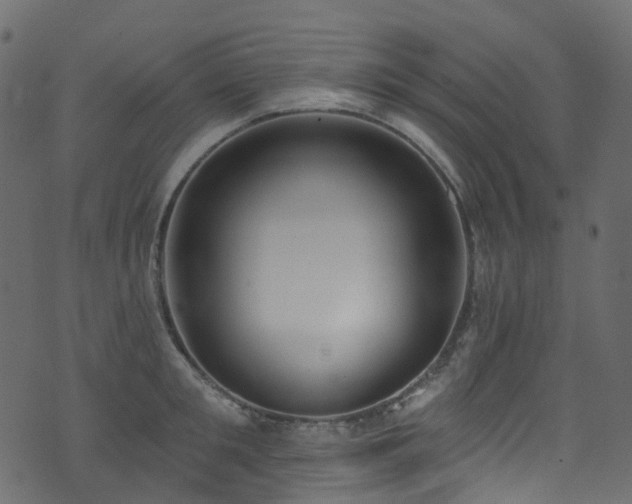 X0000074240901200608251135
