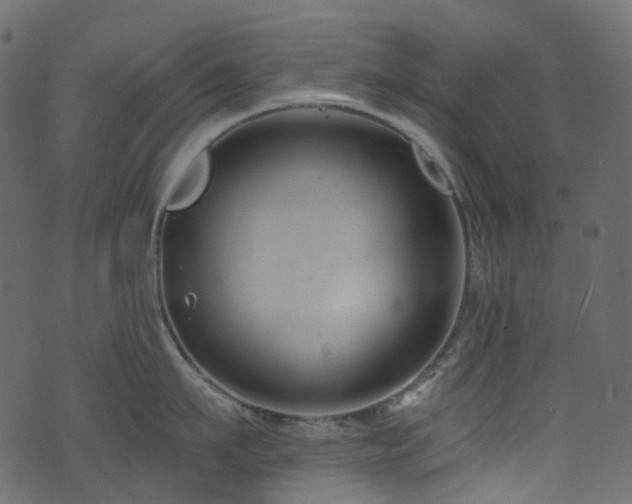 X0000074240911200608251135