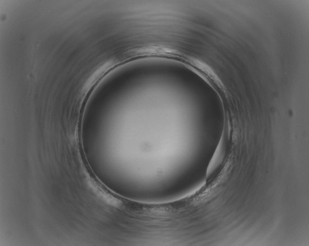 X0000074240946200608251135