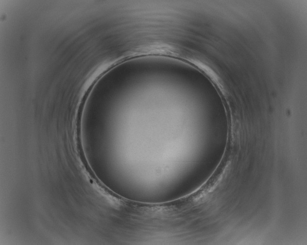 X0000074240949200608251135