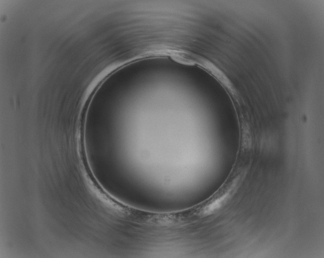 X0000074240955200608251135