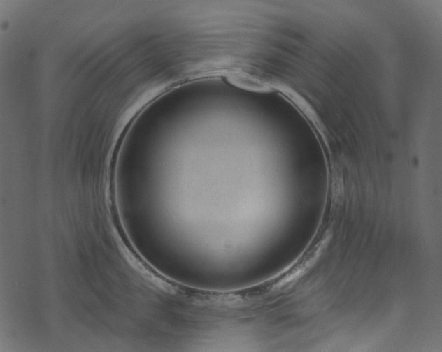 X0000074240957200608251135