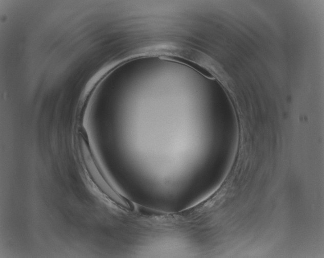 X0000074240960200608251135