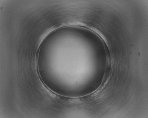 X0000074241006200608251134